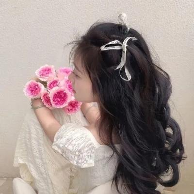 风骚律师第四季